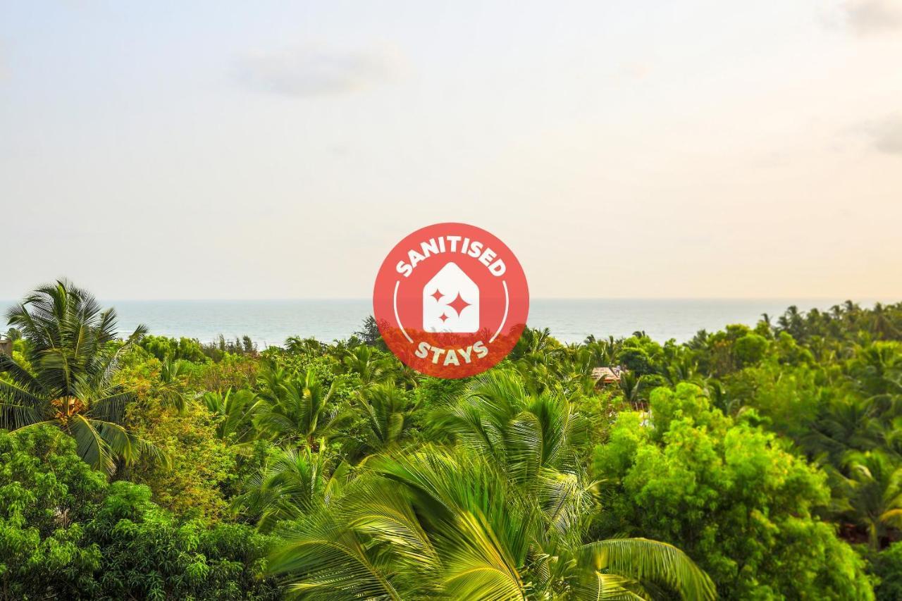 Oyo 13311 The White Feather Hotel Mandrem Ngoại thất bức ảnh